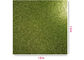 China 300g Green Glitter Paper , Scrapbooking Double Sided Glitter Cardstock exporter